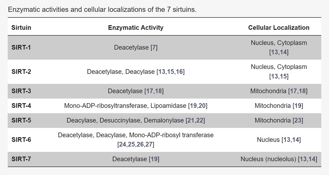 1.3. Sirtuins-配图2